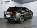 Lexus UX 250h Executive Line *HUD*LMF*Bluetooth* Vert - thumbnail 20