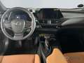 Lexus UX 250h Executive Line *HUD*LMF*Bluetooth* Vert - thumbnail 10