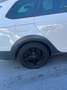 SEAT Leon Leon ST X-Perience 1,6 TDI 4Drive X-Perience Weiß - thumbnail 8