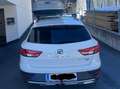 SEAT Leon Leon ST X-Perience 1,6 TDI 4Drive X-Perience Weiß - thumbnail 11