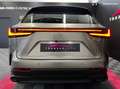 Lexus NX 350h 350h 243 cv my25 pack business Gri - thumbnail 11