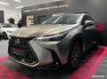 Lexus NX 350h 350h 243 cv my25 pack business Gri - thumbnail 9