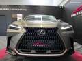 Lexus NX 350h 350h 243 cv my25 pack business Gri - thumbnail 8