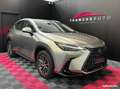 Lexus NX 350h 350h 243 cv my25 pack business Gri - thumbnail 6