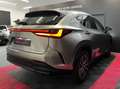 Lexus NX 350h 350h 243 cv my25 pack business Gri - thumbnail 12