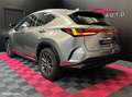 Lexus NX 350h 350h 243 cv my25 pack business Gri - thumbnail 10