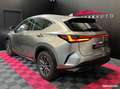 Lexus NX 350h 350h 243 cv my25 pack business Gri - thumbnail 3