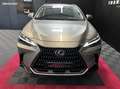 Lexus NX 350h 350h 243 cv my25 pack business Gri - thumbnail 7