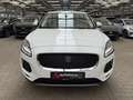 Jaguar E-Pace E-PACE P200 AWD Leder|360°|LED|Pano Blanc - thumbnail 2