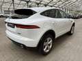 Jaguar E-Pace E-PACE P200 AWD Leder|360°|LED|Pano Blanc - thumbnail 5