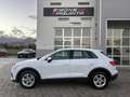 Audi Q3 35 TDI 2.0 150cv S tronic Business Advanced Bianco - thumbnail 2