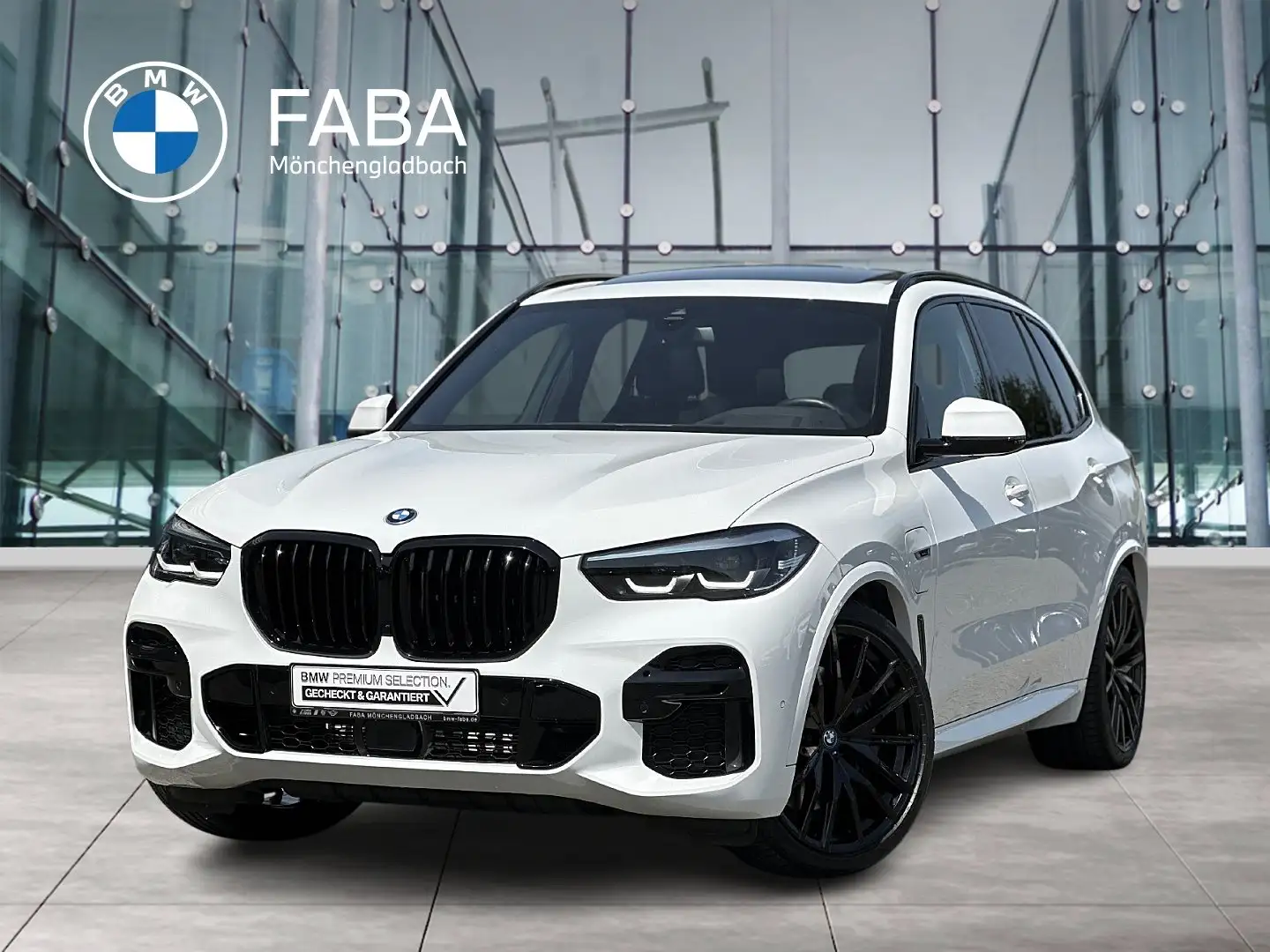BMW X5 xDrive45e M Sportpaket Head-Up DAB LED WLAN Weiß - 1