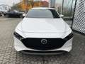 Mazda 3 3 Benzin Automatik Exclusive-Line Matrix-LED 360 Blanc - thumbnail 3
