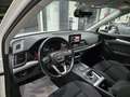 Audi Q5 Q5 II 2017 40 2.0 tdi Sport quattro 190cv s-tronic Bianco - thumbnail 9
