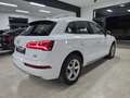 Audi Q5 Q5 II 2017 40 2.0 tdi Sport quattro 190cv s-tronic Bianco - thumbnail 5