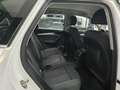 Audi Q5 Q5 II 2017 40 2.0 tdi Sport quattro 190cv s-tronic Bianco - thumbnail 13