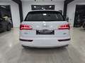 Audi Q5 Q5 II 2017 40 2.0 tdi Sport quattro 190cv s-tronic Bianco - thumbnail 6