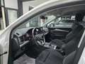 Audi Q5 Q5 II 2017 40 2.0 tdi Sport quattro 190cv s-tronic Bianco - thumbnail 8