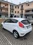 Ford Fiesta 5p 1.4 tdci Ikon Business 70cv - thumbnail 4