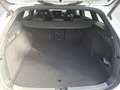 Volkswagen Passat Variant 1.5 e-Hybrid OPF DSG R-Line Weiß - thumbnail 13