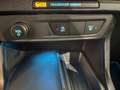 Ford Puma Titanium LED WinterPaket Kamera Neuwagengarantie Grau - thumbnail 12