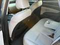 Hyundai TUCSON Tucson 1.6 HEV aut.Exellence Verde - thumbnail 4