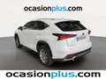 Lexus NX 300 300h Business Navigation 2WD Blanco - thumbnail 3