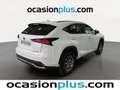 Lexus NX 300 300h Business Navigation 2WD Blanco - thumbnail 4