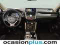 Lexus NX 300 300h Business Navigation 2WD Blanco - thumbnail 6