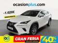 Lexus NX 300 300h Business Navigation 2WD Blanco - thumbnail 1