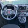 Fiat Panda PANDINA 1.0 FIREFLY HYBRID ICON s&s 70cv Blu/Azzurro - thumbnail 8