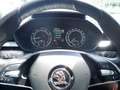 Skoda Fabia Ambition 1,0 TSI Schwarz - thumbnail 10