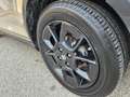 Suzuki Ignis Ignis 1.2h Top 2wd - thumbnail 11