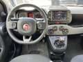 Fiat Panda Panda 1.0 FireFly S&S Hybrid Sport Schwarz - thumbnail 7