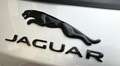 Jaguar F-Pace F-Pace 2.0 i4 SE awd 250cv Black Edition Silber - thumbnail 20