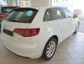 Audi A3 Sportback 1.6 tdi Ambition 110cv EURO 6 - thumbnail 4
