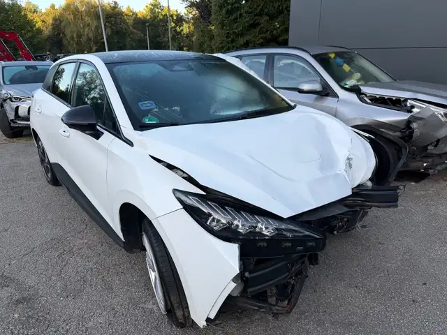 MG Autres MG 4 Luxury