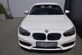 BMW 116 d SITZHZG Weiß - thumbnail 3