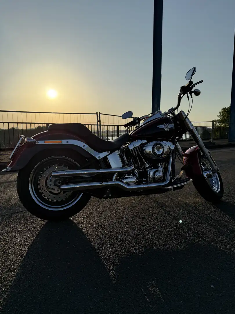 Harley-Davidson Fat Boy Rot - 2