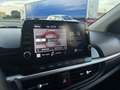 Kia Picanto Picanto III 2021 1.0 dpi X Line Gpl Grigio - thumbnail 14