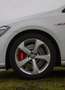 Volkswagen Golf GTI 2.0 TSI OPF DSG Performance - thumbnail 7
