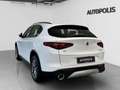 Alfa Romeo Stelvio 2.0 Q4 Blanc - thumbnail 13