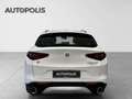 Alfa Romeo Stelvio 2.0 Q4 Blanc - thumbnail 5