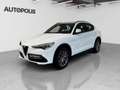 Alfa Romeo Stelvio 2.0 Q4 Blanc - thumbnail 1