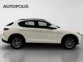 Alfa Romeo Stelvio 2.0 Q4 Blanc - thumbnail 6