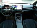 CUPRA Terramar 1.5 eTSI DSG AHK/Sitzheiz/Headup/Intelligent Drive Schwarz - thumbnail 14