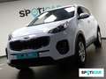 Kia Sportage 1.6 GDI 135CV  4x2 Concept Wit - thumbnail 29