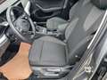 Skoda Octavia Ambition TDI Gris - thumbnail 21