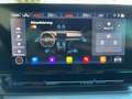 CUPRA Formentor 2.0 TDI DSG 4DRIVE MATRIX AHK KAMERA Rot - thumbnail 14