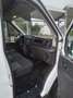 Ford Transit 290 L2 Trend Wit - thumbnail 11